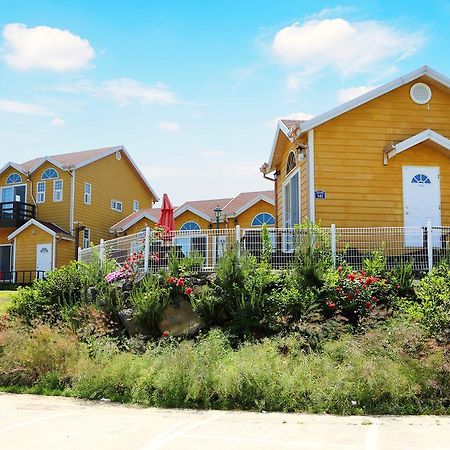 Villa Healing House Seogwipo Exterior foto