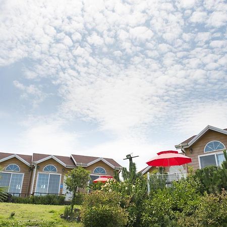 Villa Healing House Seogwipo Exterior foto