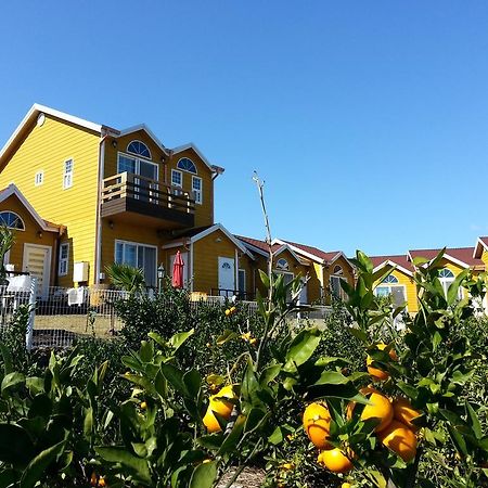 Villa Healing House Seogwipo Exterior foto